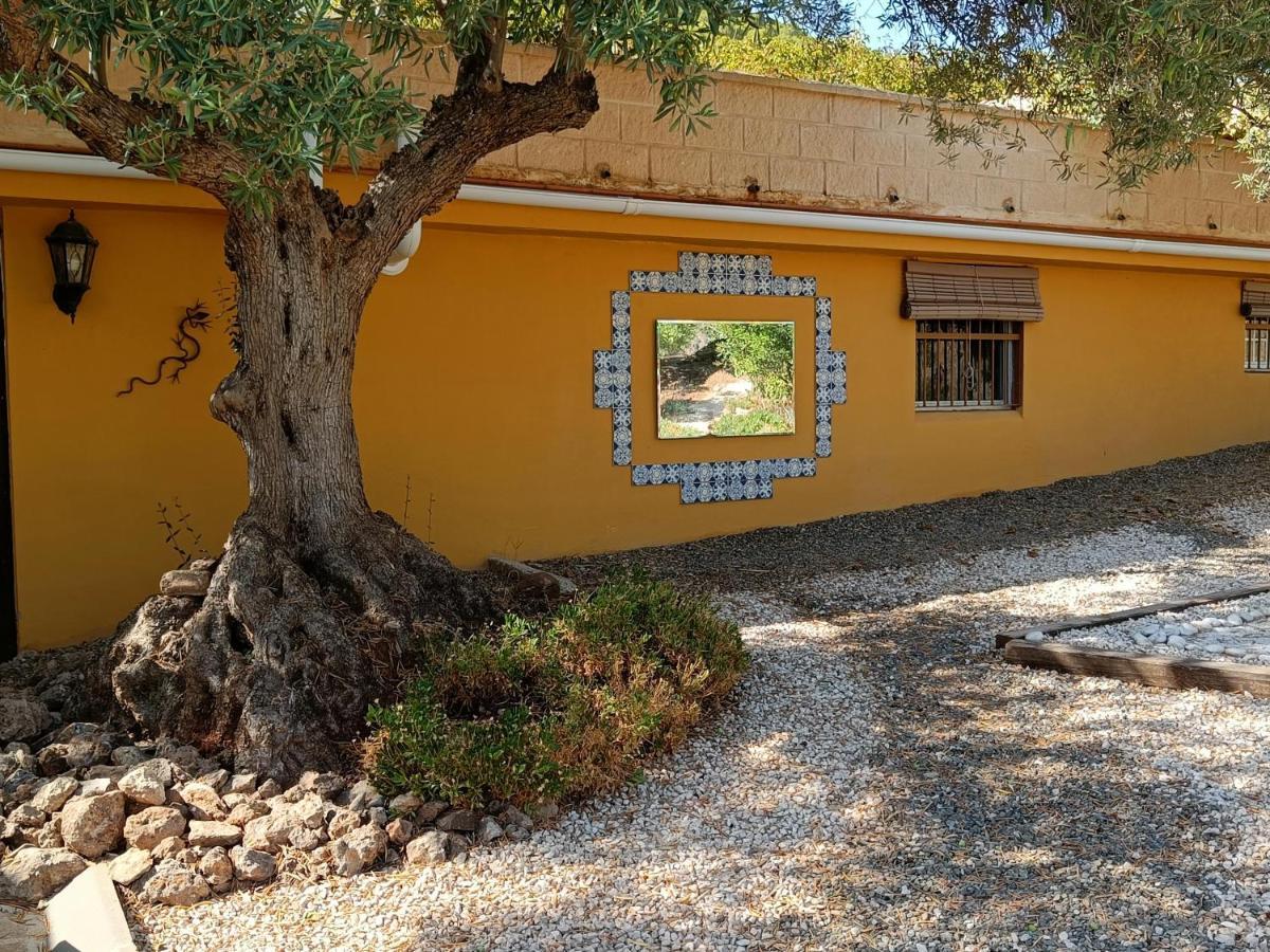 Апартаменты Casa Oasis Эль-Чорро Экстерьер фото