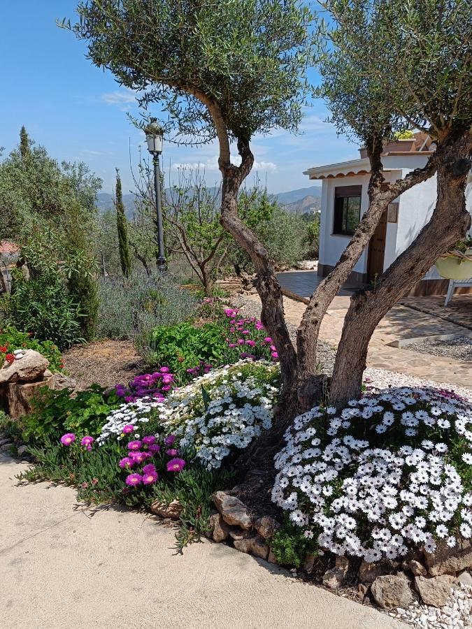 Апартаменты Casa Oasis Эль-Чорро Экстерьер фото
